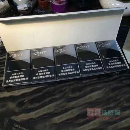 中免KENT箭牌纳米皓白