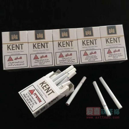 以色列KENT箭牌城堡短支