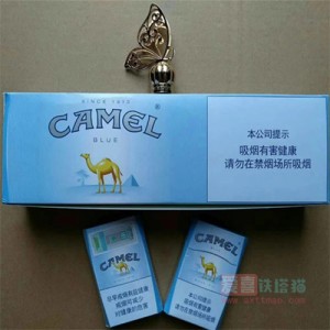 CAMEL中免蓝骆驼 