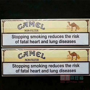 CAMEL欧盟骆驼无嘴