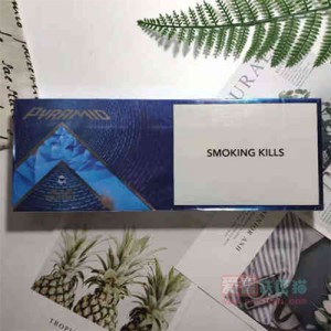 CAMEL骆驼蓝莓爆珠细支 