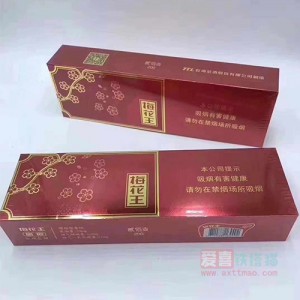 梅花王旗袍